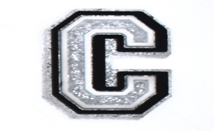 26 Alphabet Glitter Charms( Select Your Charms ) casexstudio