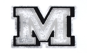 26 Alphabet Glitter Charms( Select Your Charms ) casexstudio