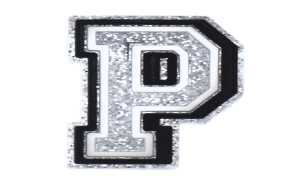 26 Alphabet Glitter Charms( Select Your Charms ) casexstudio