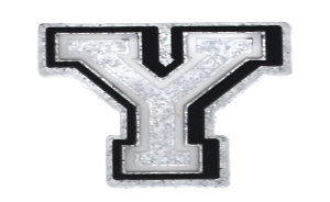 26 Alphabet Glitter Charms( Select Your Charms ) casexstudio